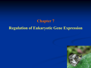 Gene Regulation of Eukaryotes