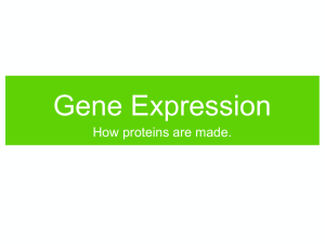 Ch10_GeneExpression