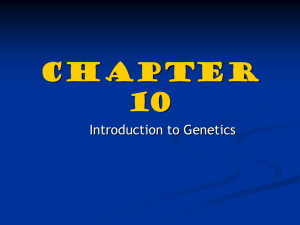Intro_to_Genetics_Chapter_10.2_Notes