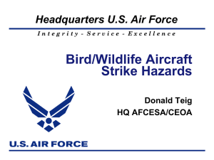 Bird Air Strike Hazards (BASH)