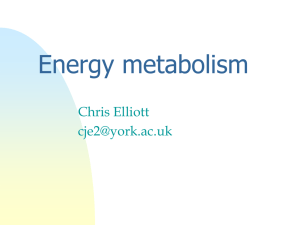 Powerpoint - Chris Elliott, University of York
