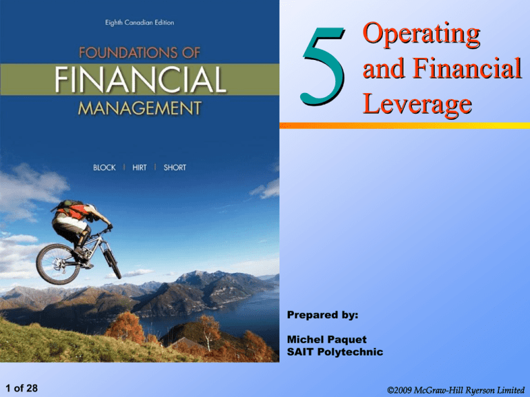 case study on financial leverage