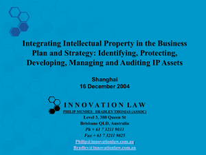 Integrating Intellectual Property in the Business Plan and Strategy