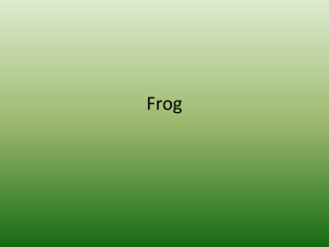 Frog - Biology