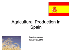 Agricultural Production in Spain