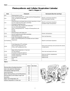 Packet Unit 4 - Miss Clark's Website