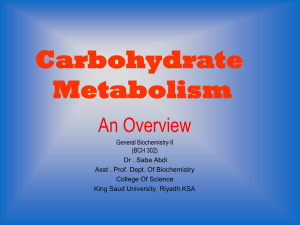 Carbohydrate Metabolism
