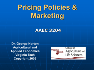 Pricing Policies and Marketing Systems