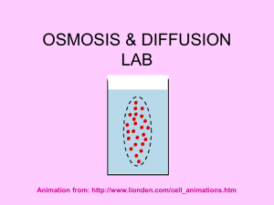 osmosis & diffusion lab - local.brookings.k12.sd.us