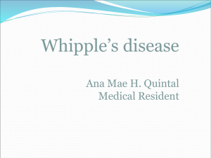 WHIPPLE'S DISEASE - Ana-Mae Quintal 15052008