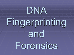 chapter 7 dna fingerprinting