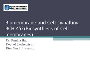 Biosynthesis of Cell membranes VII