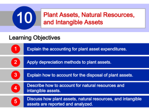Plant Assets, Natural Resources, and Intangible Assets