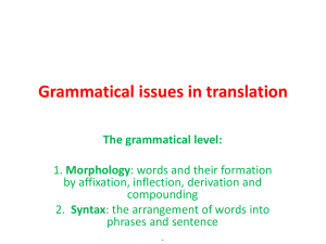 Grammatical issues in translation The grammatical level