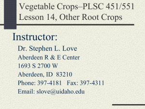 Veg Crops-Lesson 14 Other root