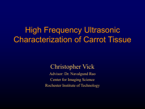 High Frequency Ultrasonic Characterization of Carrot Tissue