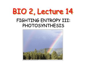 Lecture 14: Fighting Entropy III: Photosynthesis