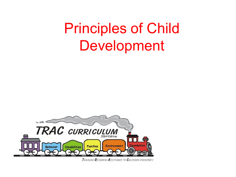 Three 3 Core Principles Of Child Development