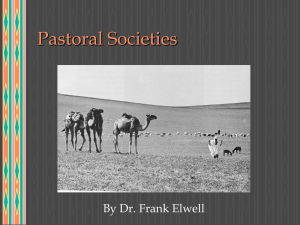 Pastoral Socieities