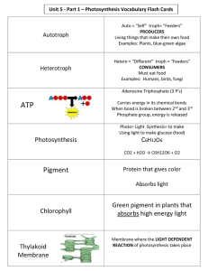 Unit 5 - Part 1 – Photosynthesis Vocabulary Flash Cards