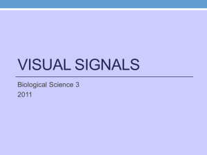 Visual signals