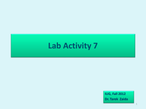 Lab Activity 7