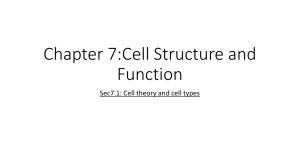Chapter 7:Cell Structure and Function