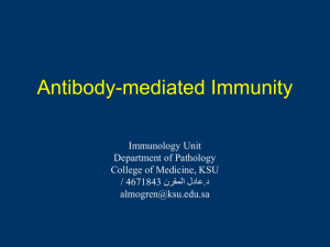 Adaptive Immune Response (Part II) (Antibody