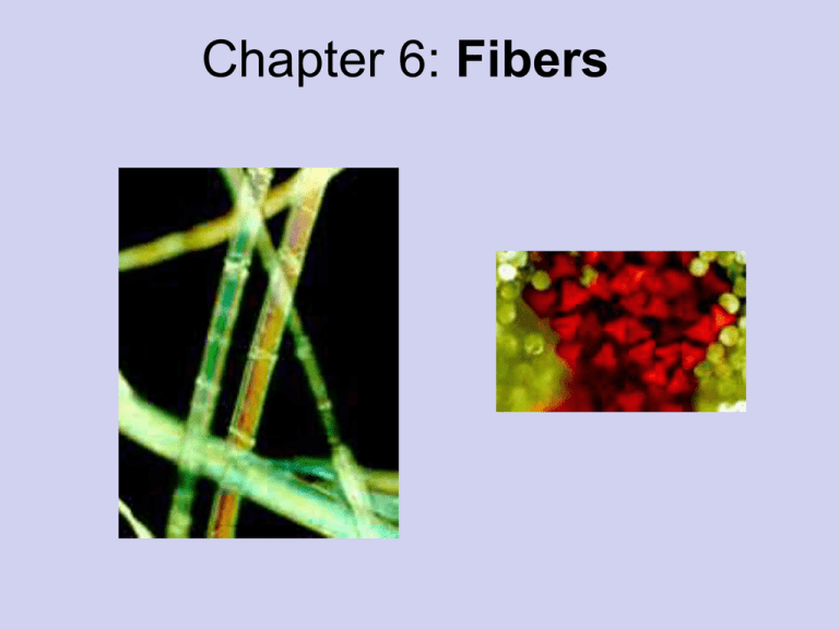 Fiber Evidence