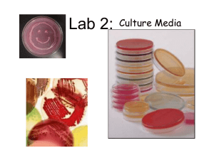 Lab 2: Media & Culture