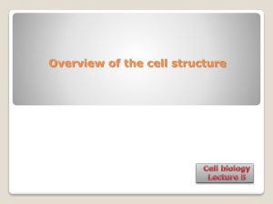 Overview of the cell structure Bacteria, animals and plants