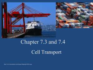 File chapter 7.3 cell transport