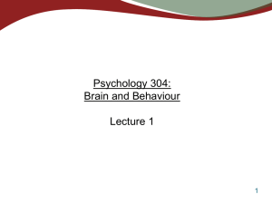 What is biological psychology?