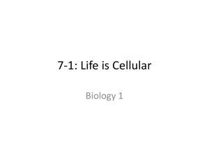Life is Cellular Notes