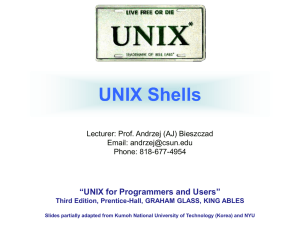 The Unix Shells