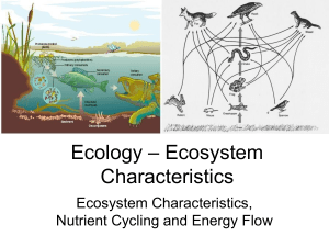 Ecology – Ecosystem Characteristics