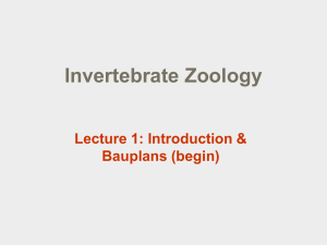 Introduction and Bauplan 1