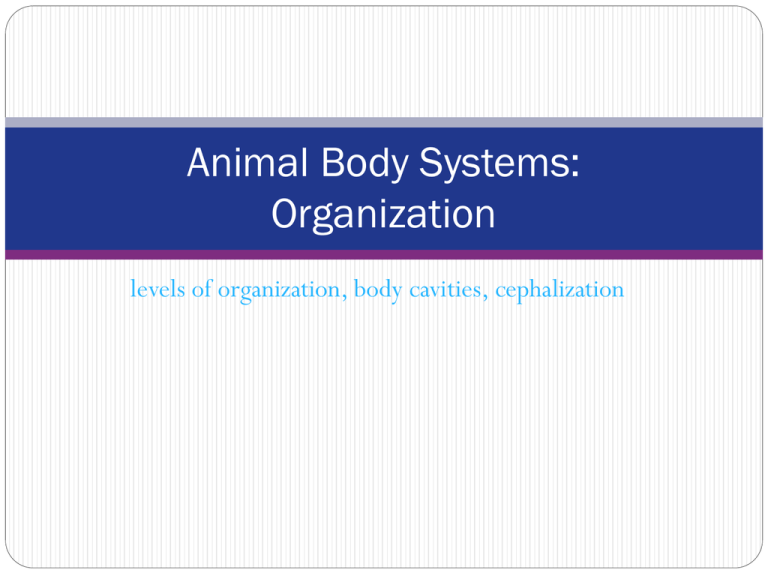 an-organ-system-is-a-group-of-organs-that-works-together-to