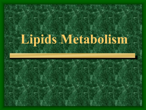 Lipids Metabolism