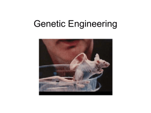 Genetic Engineering