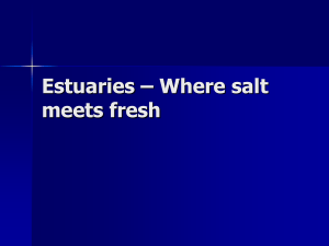 Estuaries – Where salt meets fresh