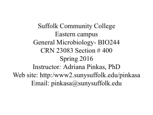 Lecture 1 - Suffolk County Community College