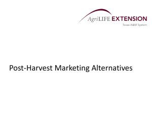 Post-Harvest Marketing Alternatives