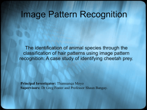 Image Pattern Recognition