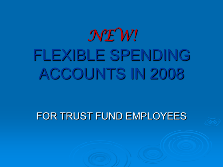 new-flexible-spending-acccounts-in-2008