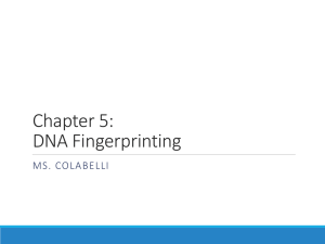 DNA Fingerprinting - West Essex Regional Schools