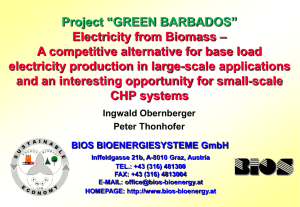 Scenario for a small-scale biomass CHP plant