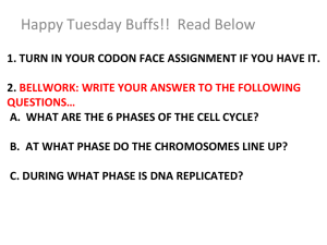 A. What are the 6 phases of the cell Cycle?
