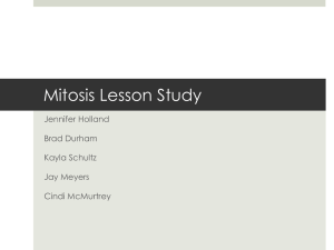 Mitosis Lesson Study
