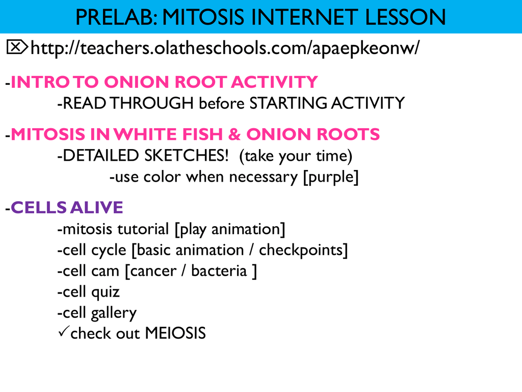 white fish mitosis
